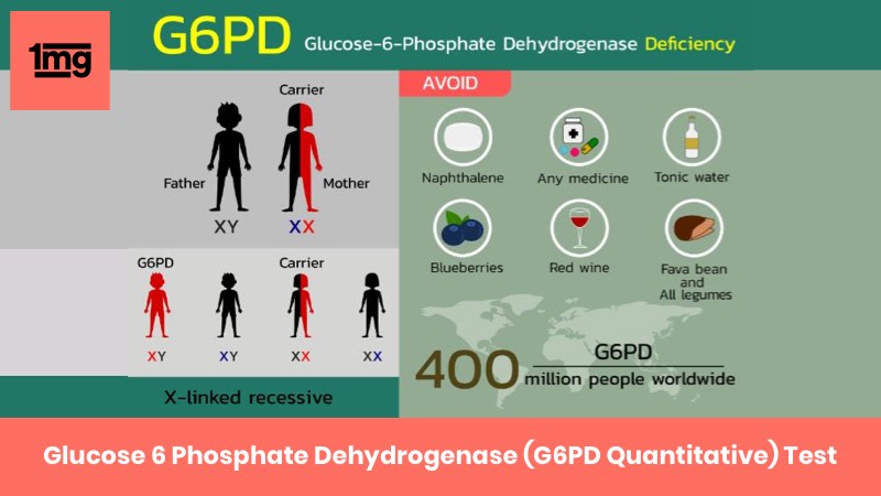Glucose 6 Phosphate Dehydrogenase (G6PD Quantitative)