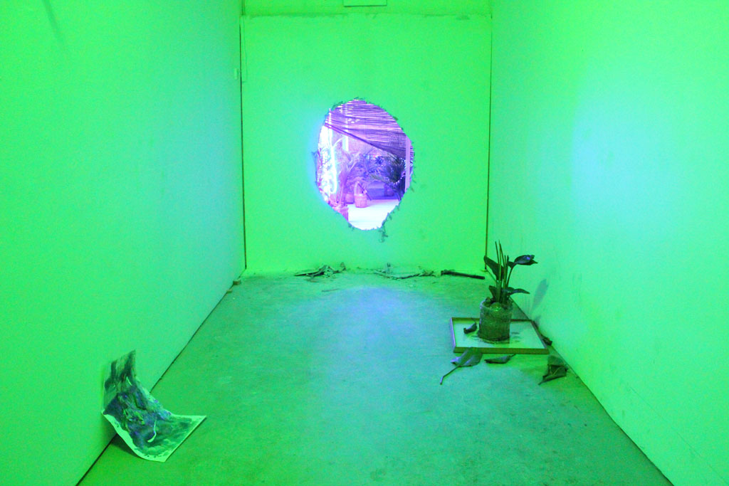 Tzu Huan Lin, The Yellow Snake Is Waiting, Installation Shot ,courtesy to the artist.