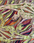 Creative Member Image