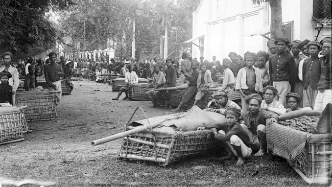 Tanam paksa di zaman kolonial Belanda. (Collectie Stichting Nationaal Museum van Wereldculturen via Wikimedia CC-BY-SA-3.0)