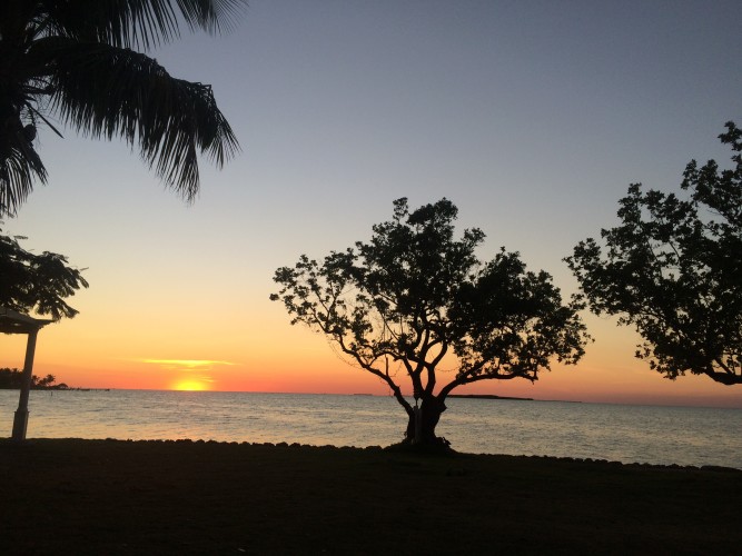 perfect parking for your rv in islamorada