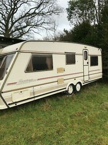 cozy camper van with a pet-friendly policy