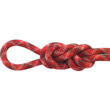 Apex 9.9 Mm Climbing Rope