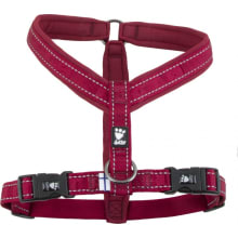 Casual Padded Y-harness