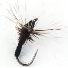 Takayama Fly 3 Pack - Size 16