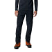 Men's Chockstone Alpine Pant Regular