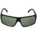 Snark Sunglasses