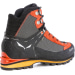 Men's Crow Gtx