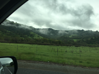 Pacheco Pass view