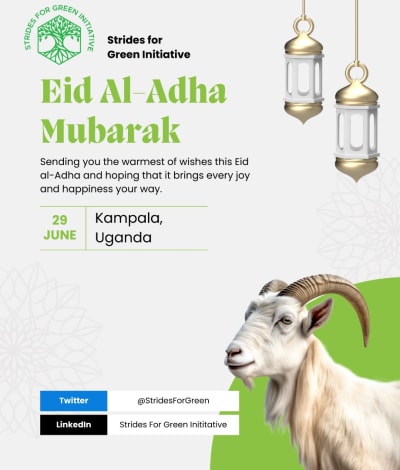 Celebrate Eid al-Adha by honoring tradition and caring for the planet