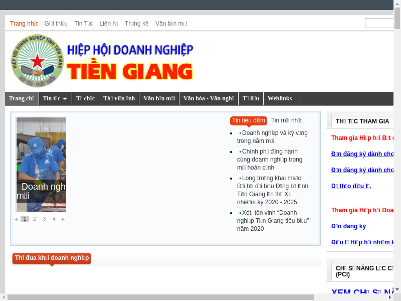 ウェブサイトキャプチャ_Tien Giang Business Association