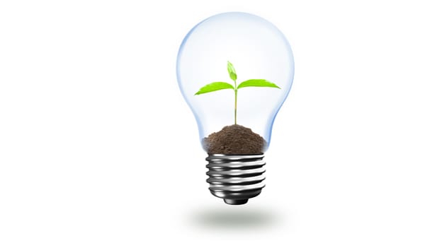 How leaders best seed and nourish innovation How leaders best seed and nourish innovation