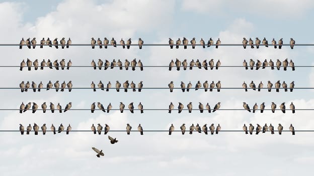 When Purpose & Profit Align When Purpose & Profit Align