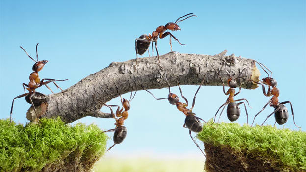 Restructuring organizations: focus on team over individual performance Restructuring organizations: focus on team over individual performance