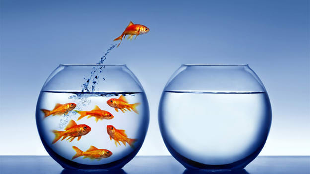 Tips to handle a smooth attrition process Tips to handle a smooth attrition process