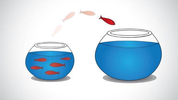 What HR needs to know about managers with separation blues? What HR needs to know about managers with separation blues?