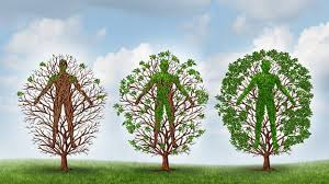 The secret elements that make a successful employee wellness program The secret elements that make a successful employee wellness program