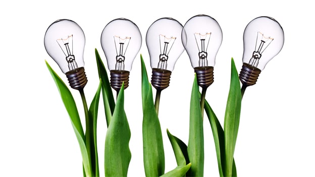 Demystifying inclusion in Indian startups Demystifying inclusion in Indian startups