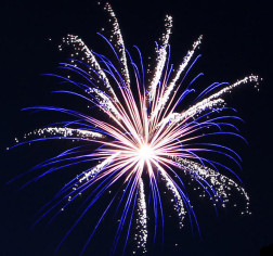 Sanibel Island Events Captiva Calendar Sanibel Real Estate