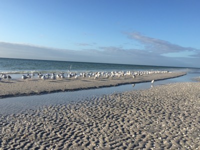 Sanibel Island beach front Sanibel Real Estate