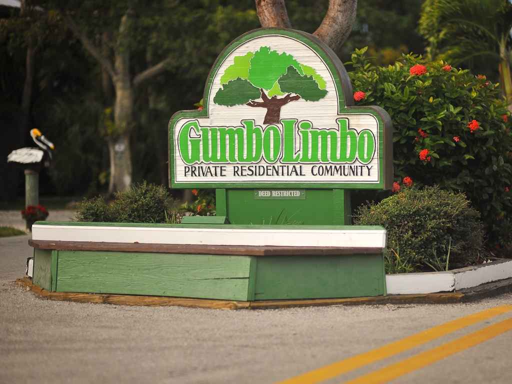 Gumbo Limbo