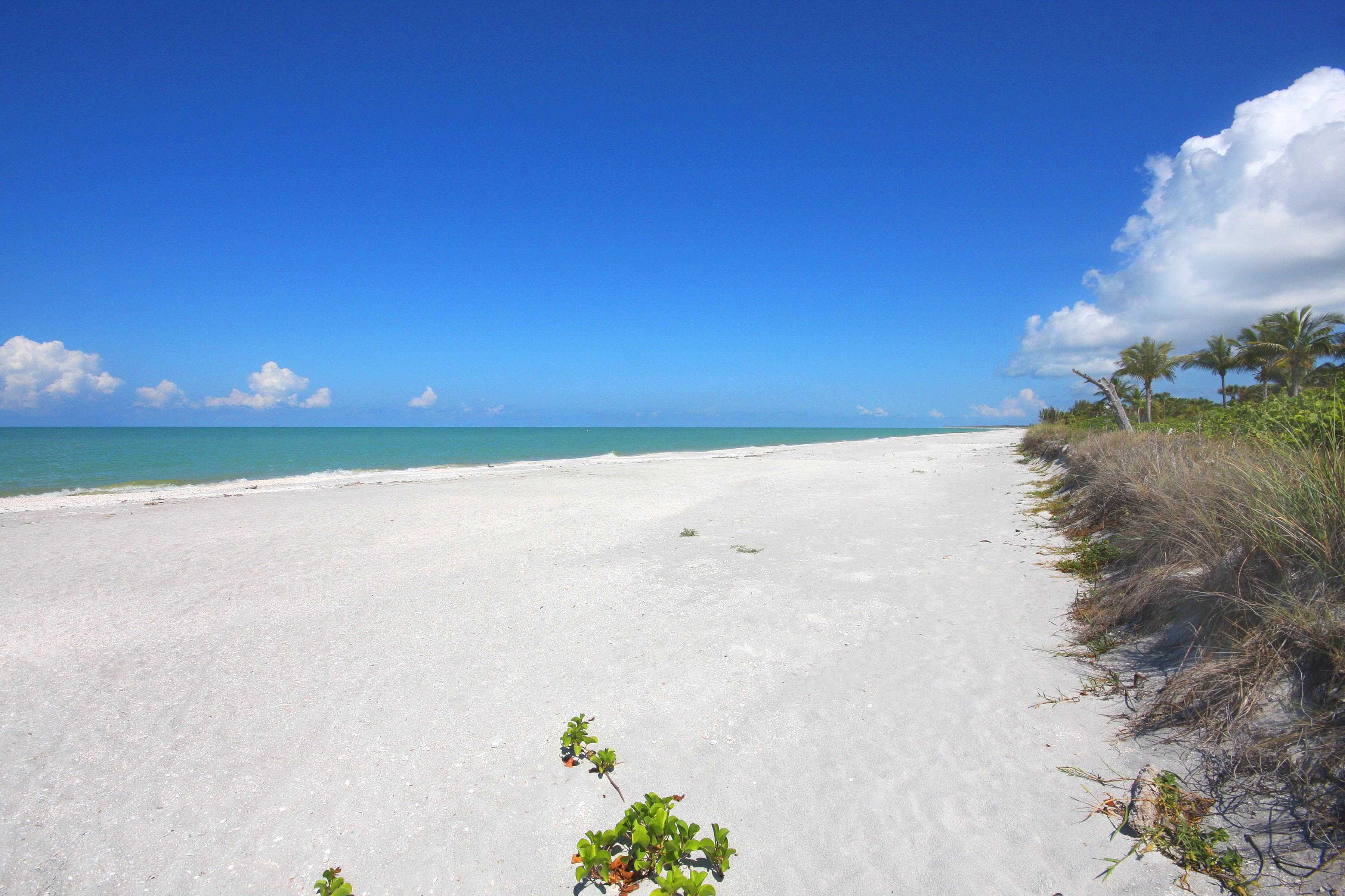 Sanibel Island Real Estate Sales Pfeifer Realty Group