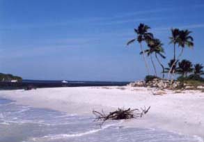 Sanibel homes for sale Sanibel Real Estate