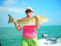 Sanibel Red Fish Season Sanibel Red Fish