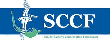 Sanibel homes for sale Sanibel Real Estate