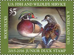 National Junior Duck Stamp Contest Sanibel Real Estate