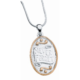 Never Forget™ Pendant & Chain (Reversible)
