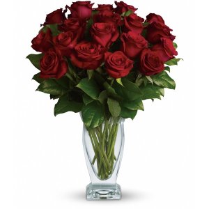Teleflora&#39;s Rose Classique - Dozen Red Roses flower arrangement