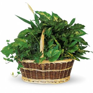 Large Basket Garden flower arrangement