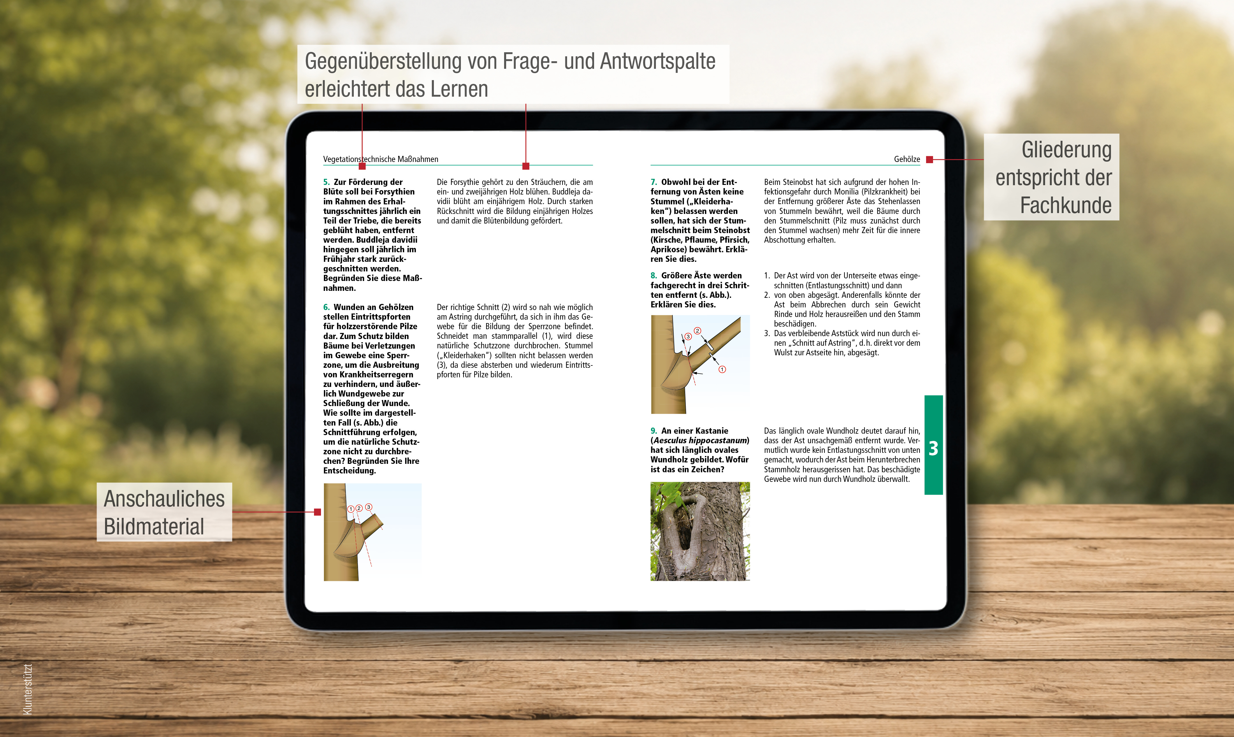 Prüfungsbuch Garten- und Landschaftsbau (Bestell-Nr. 7460)
