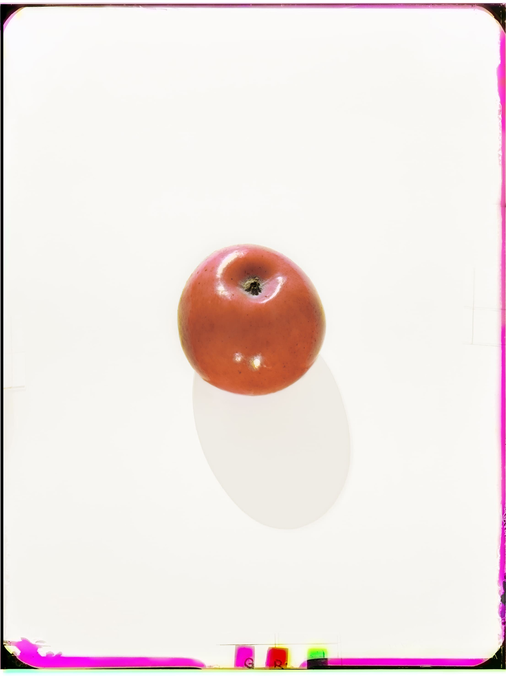 Werner Bischof | Scheidegger & Spiess