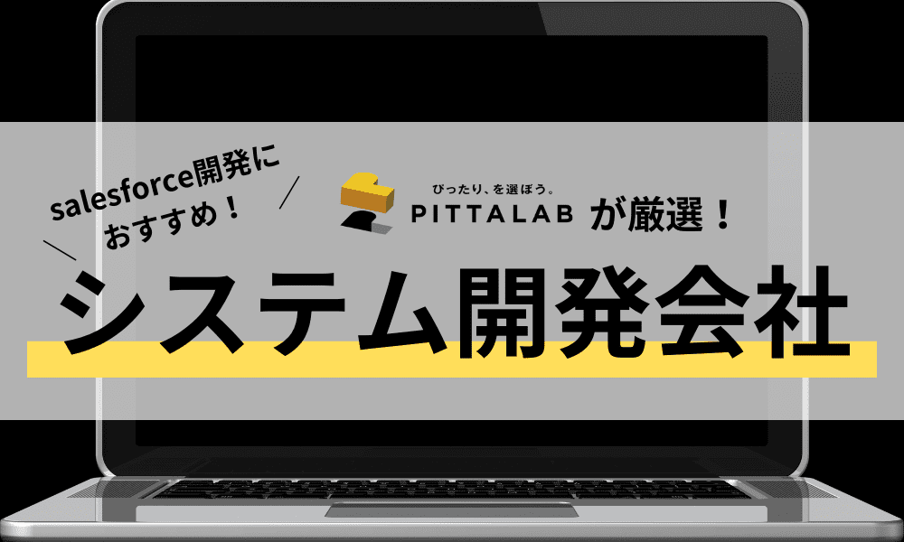 システム開発会社（salesforce）.png