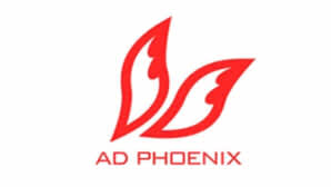 株式会社アド・フェニックス・エージェンシー.jpg
