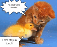 Stay friends, stay in touch
