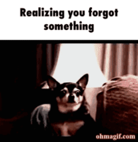 GIF of dog looking heckin scared, underneath the words, "Realizing you forgot something"
