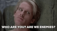 Wesley from The Princess Bride asking, "Who are you? Are we enemies?"