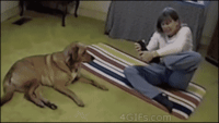 dog yoga