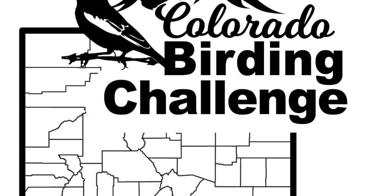 support-2025-colorado-birding-challenge-pledgeit-for-charities