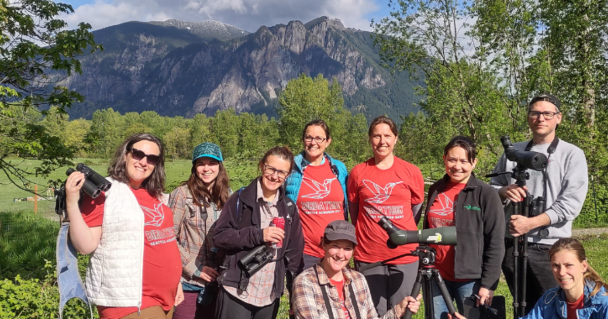 Support Seattle Audubon Birdathon 2023 PledgeIt for Charities