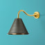 IP44 Swan neck wall fitting in antique brass
