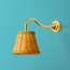 IP44 Swan neck wall fitting in antique brass