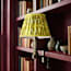 Bronte rechargeable bookshelf light in bronze