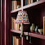 Bronte rechargeable bookshelf light in bronze