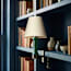 Bronte rechargeable bookshelf light in turquoise