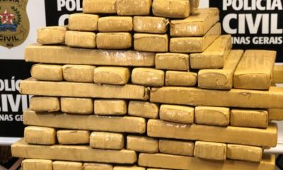Polícia apreende cem quilos de maconha em residência de Montes Claros - Foto: Divulgação/PCMG