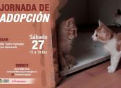 Jornada de Adopción de Fundación Adopta
